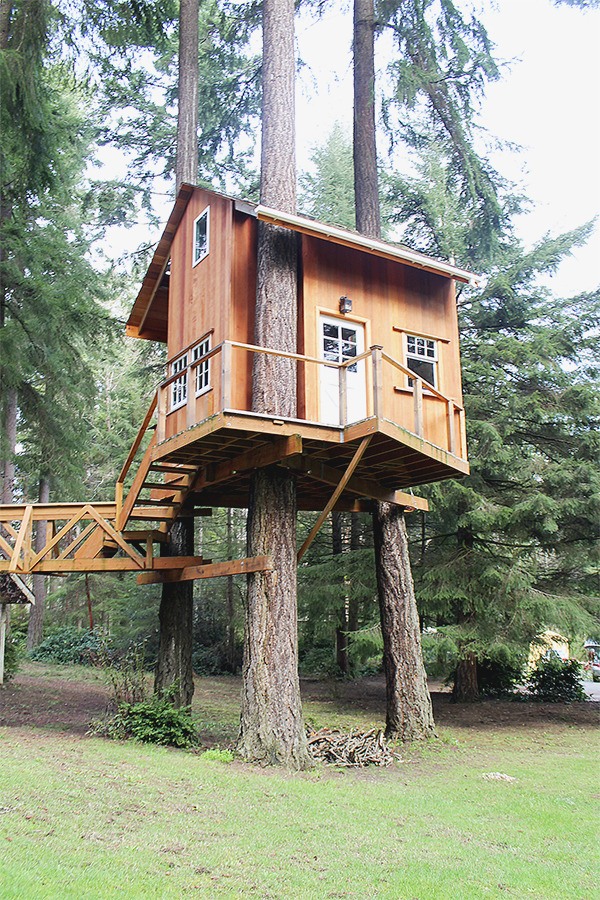 Richard Parr researched treehouse construction before building a nearly 200-square-foot cabin with a loft among the trees outside his home near Burton. He and his family use the treehouse as a retreat and guest room.