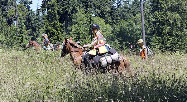 Horseback riders and other CERT volunteers participate in a practice search on Sunday.