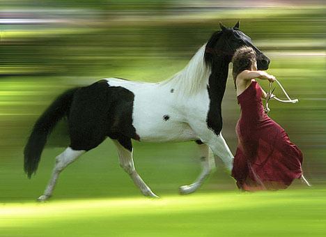 Dancers and horses bond in a performance.