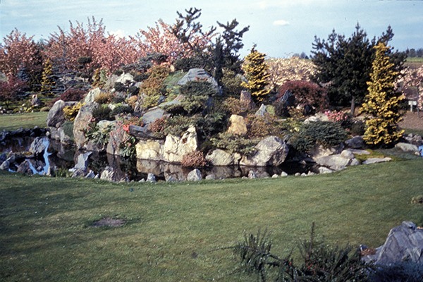 This 1940 photo shows the 'hill garden' surrounded by a pond that held koi.