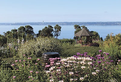 Jo Robinson’s south-end garden overlooks Puget Sound. There she grows the most nutritious fruits and vegetables as a demonstration garden for her book
