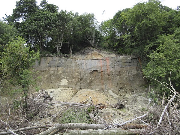 The cliff face on Dalco Point shows steepness