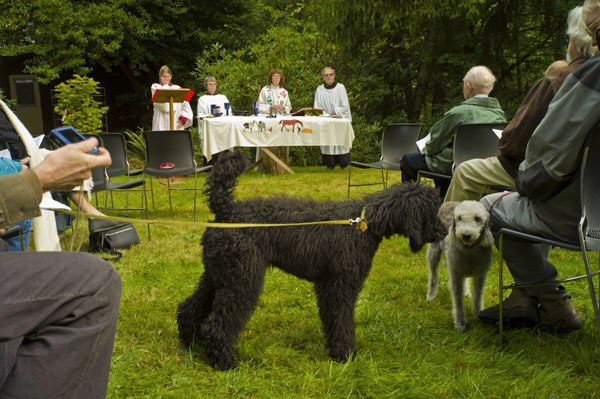 Rick Edwards’ poodle Gracie visits another dog during Sunday’s service.