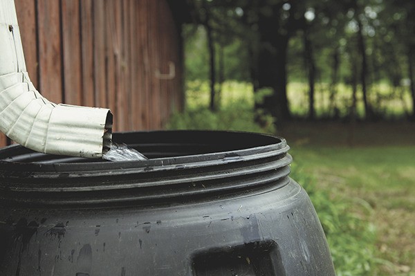 Jenny Bell will hold a workshop on greywater reuse from 6 to 8 p.m. tonight