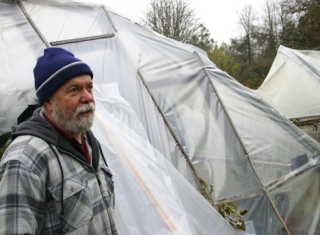 Colvos Creek Nursery owner Mike Lee stands among greenhouses destroyed by snow and rain.