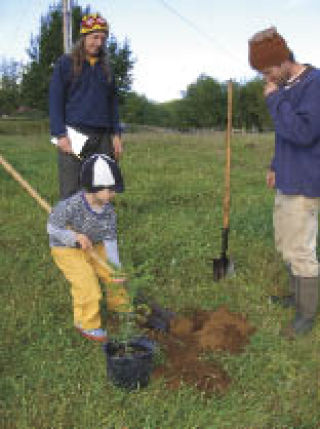 Lorax Club members plant a tree.