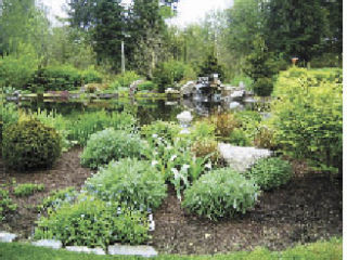 The garden of Mia McEldowney and Bill Mitchell is one of those open to visitors on this year’s garden tour.