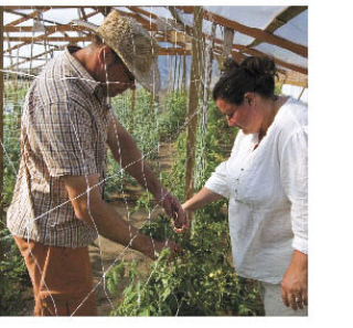 Matt and Leda Langley at work in their greenhouse in Dockton.