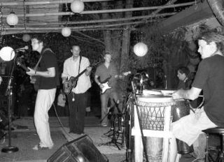 Trolls Cottage performs at Earthfair.