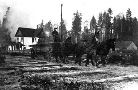 Steam from a lumber mill rises behind the Sherman House in this original photograph.