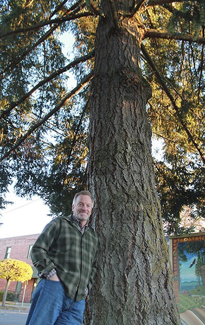 Paul Peretti transplanted fir and cedar trees from county ditches into places around downtown in the late 1970s. One of his six remaining trees is the current town Christmas tree north of the U.S. Bank building.