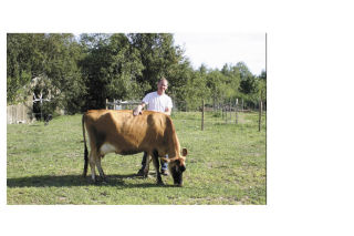 Kurt Timmermeister raises Jersey cows on his small