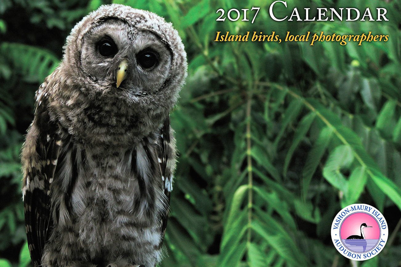 Audubon calendar showcases island photographers’ work, raises money