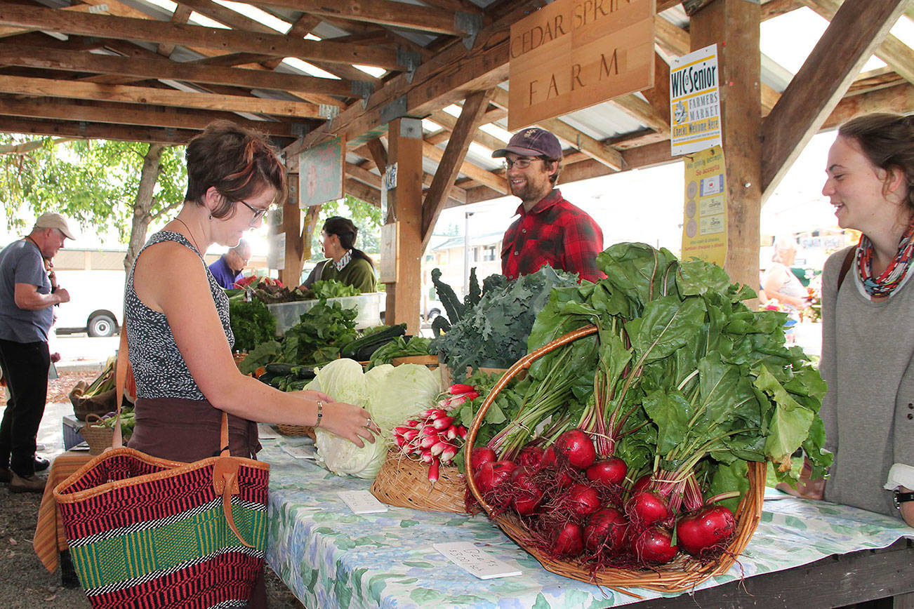 Vashon Farmers Market returns this weekend