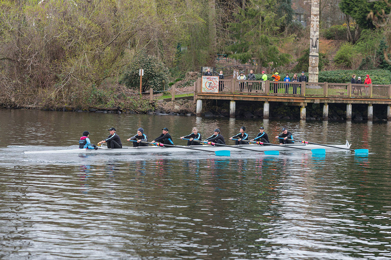 VIRC’s masters’ women’s eight makes its way to a commanding victory through the Montlake Cut at the University of Washington’s Husky Open on Saturday. (Jordan Petram Photo)