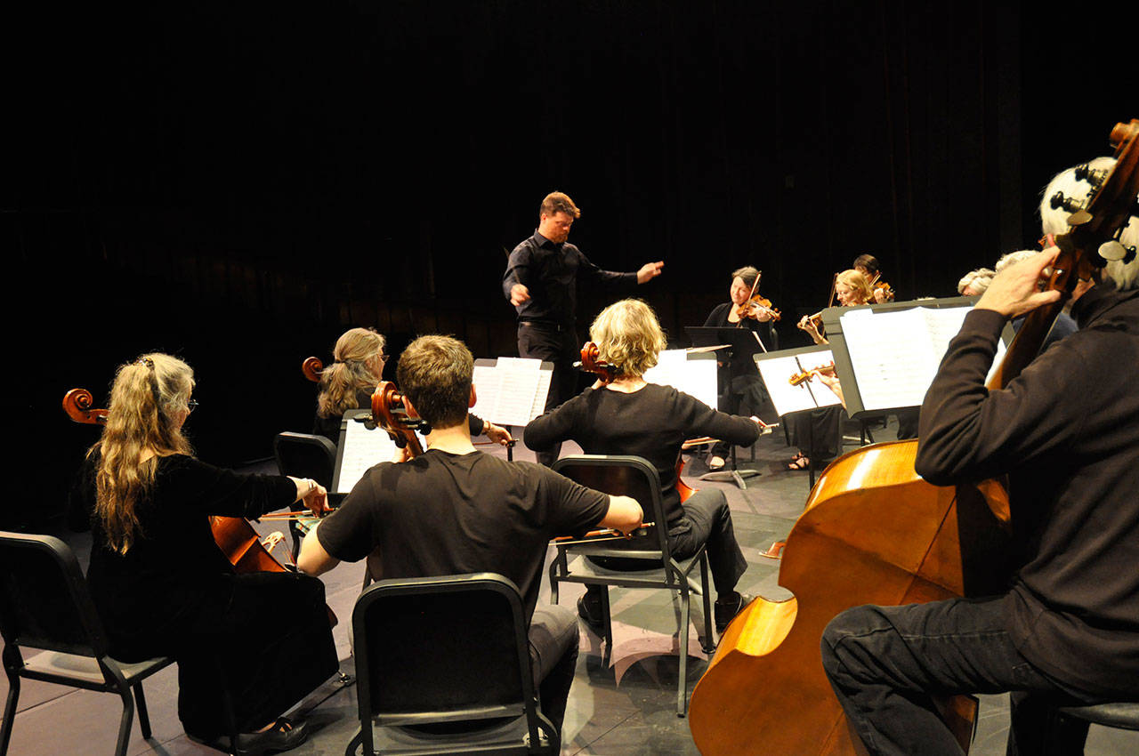 Vashon Maury Chamber Orchestra (Courtesy Photo)