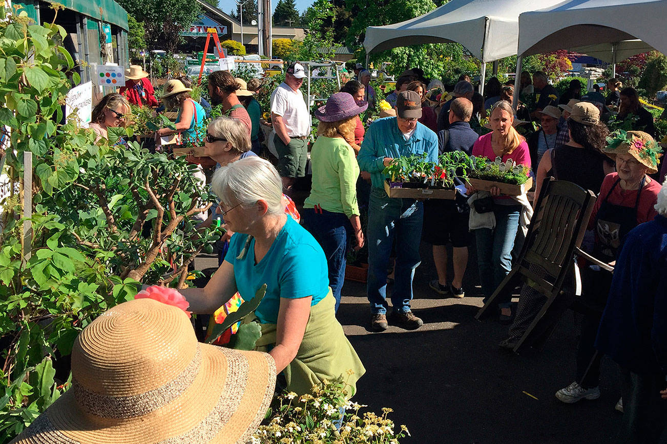 Island garden club’s annual plant sale happening this weekend