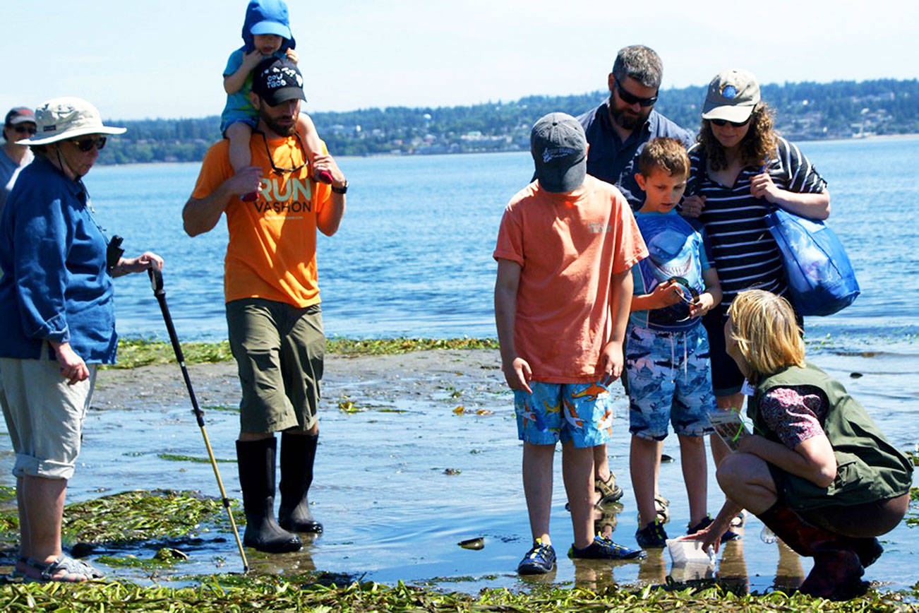 Low tide festival at Point Robinson Saturday