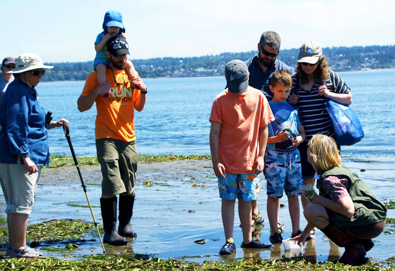 Beach Naturalist Marie Brown (right) answers questions about the critters living in the eelgrass at a previous year’s Low Tide Celebration. (Jay Holtz Photo)
