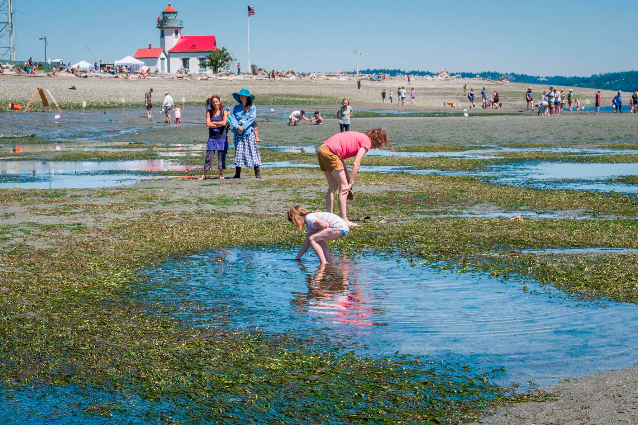 PHOTOS Low Tide Celebration VashonMaury Island
