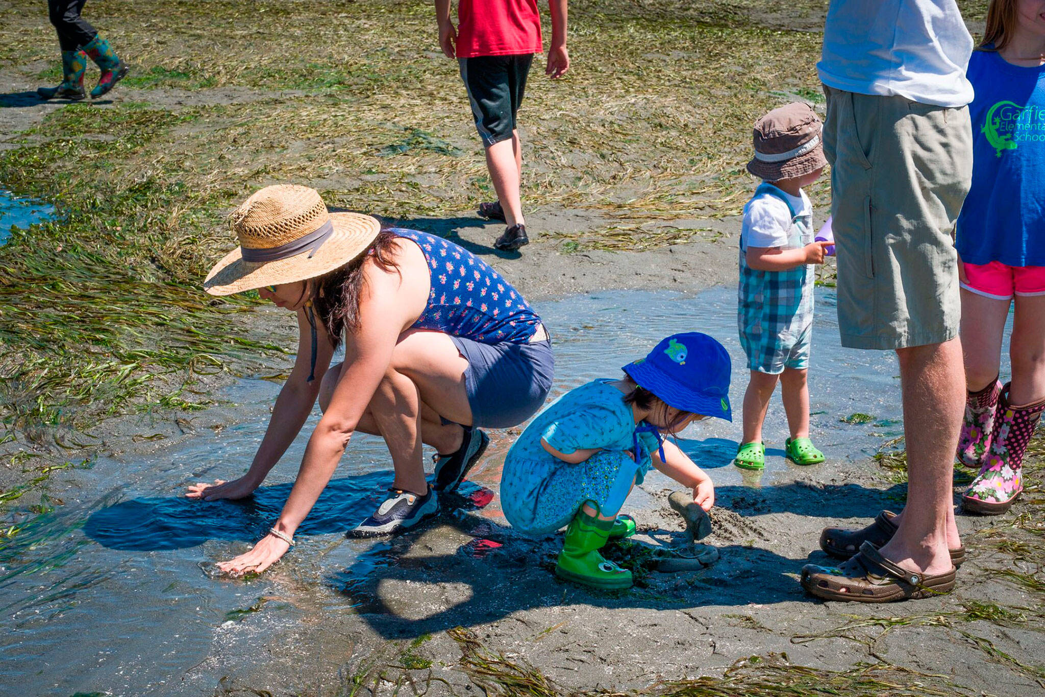 A family explores in the sandy tide pools. (Kent Phelan Photo)