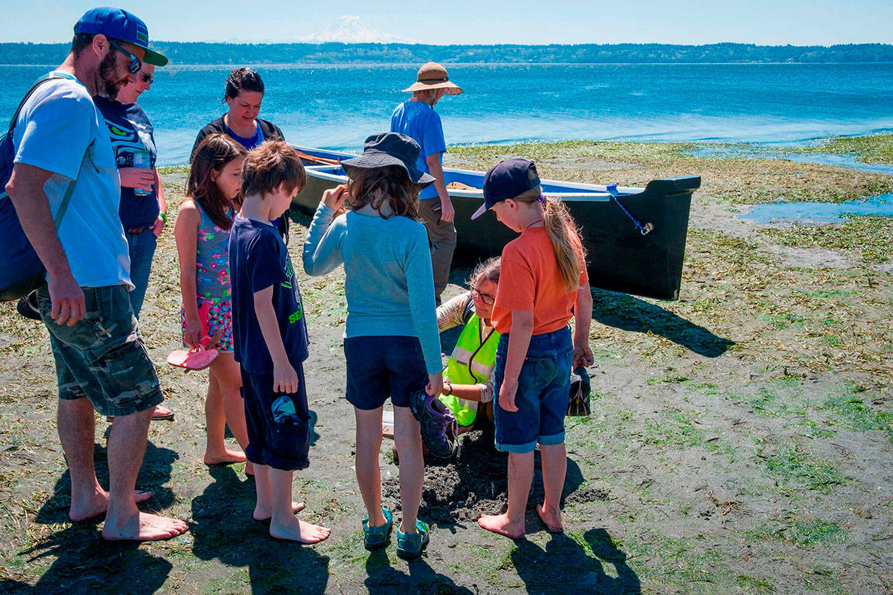 PHOTOS Low Tide Celebration VashonMaury Island