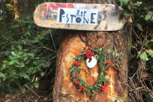 UPDATED: Pro skateboarders involved in fatal Vashon Island crash