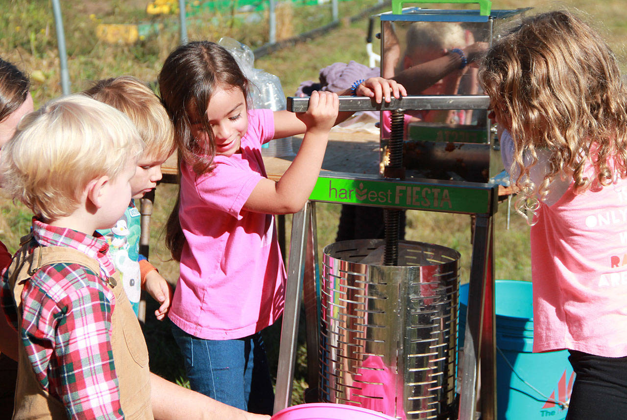 hildren from Vashon’s Creative Preschool press apples into cider during a field trip to Limping Duck Farm last Thursday. There will be multiple places to press apples during Ciderfest on Saturday. The Vashon Island Fruit Club will have presses, including a children’s press, at Vashon Village; the Vashon Island Growers’ Association (VIGA) will have a bring-your-own-apples press at the Vashon Farmers Market, and Limping Duck will have its press available. (Anneli Fogt/Staff Photo)