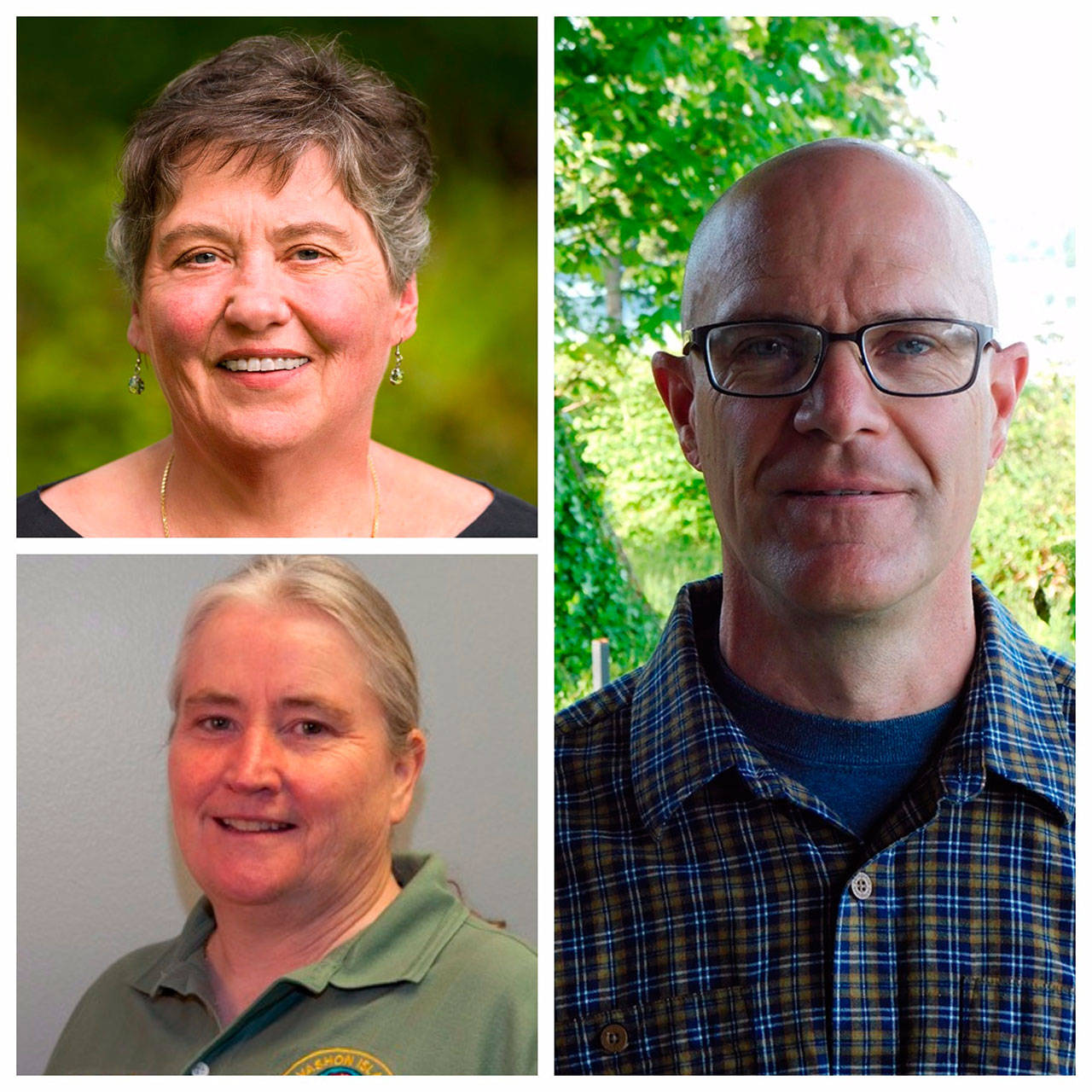 Fire commissioner candidates include Jan Milligan, top, Candy McCullough, bottom, and Andy Johnson.