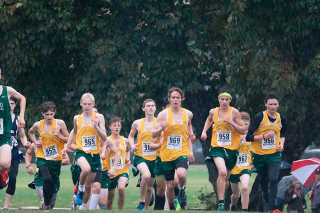 Left to right: Simon Clark (#955), Garrett Mueller (#965), Ursa Medeiros, Hunter Justis, Gianno Waller (#969), Cole Parks (#958), Jackson Mallory (#963) and Sean Robertson (#956) take off from the starting line and charge uphill at the Nisqually League meet last Thursday. (Matthew Boyle Photo)