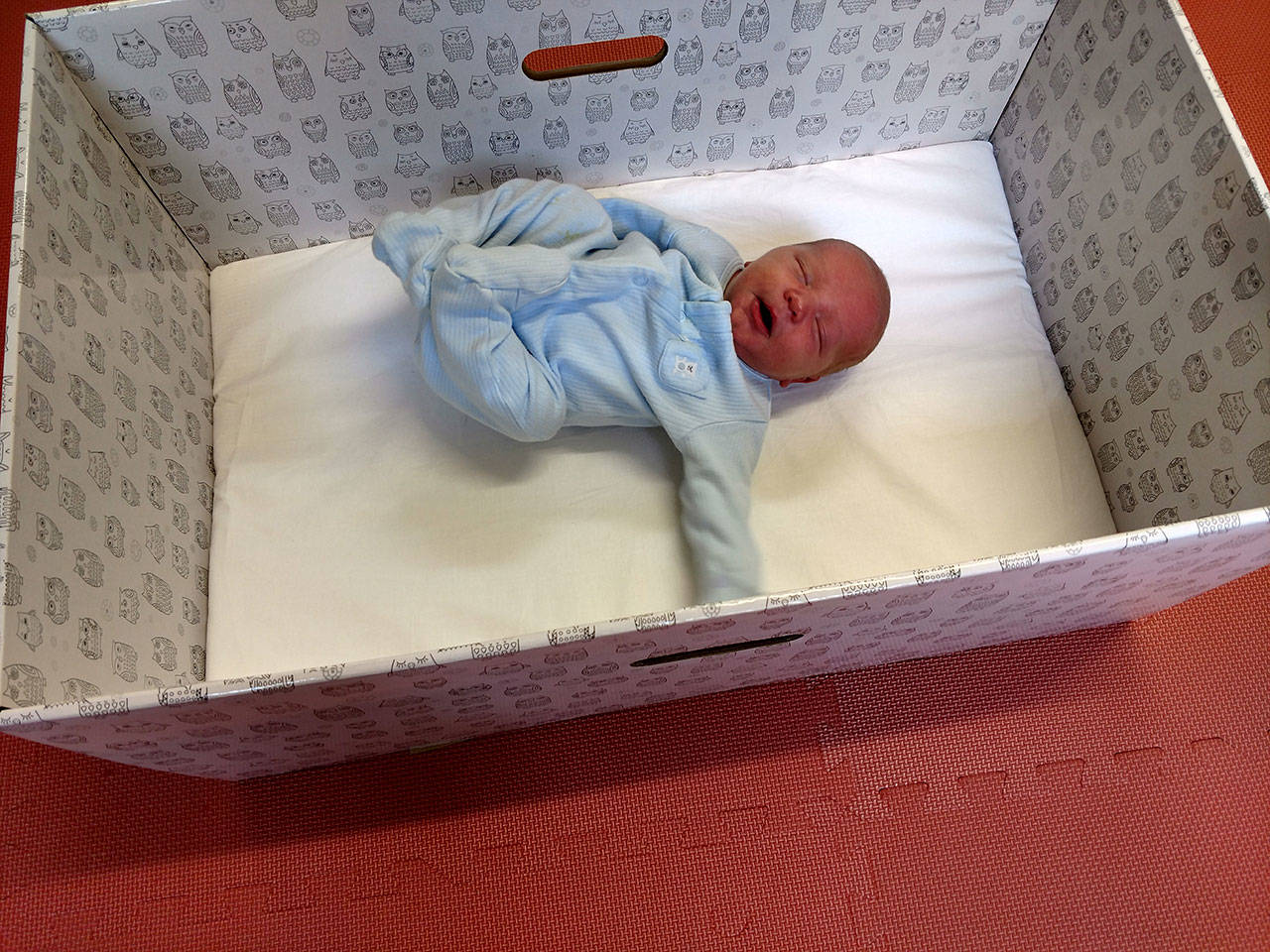Baby Rhett sleeps peacefully in his new baby box. (Susan Riemer/Staff Photo)