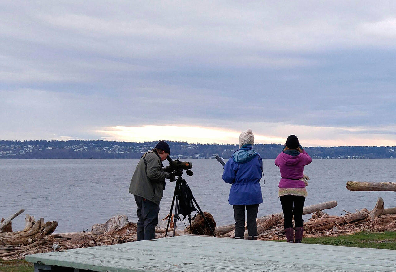 Ezra Parker, Susan McClellan and Bianca Perla participate in the 2015 Christmas Bird Count at Point Robinson. That bird count was held in early 2016, just shortly after Christmas. Volunteers are welcome to help with this year’s count on Dec. 31. (Harsi Parker Photo)