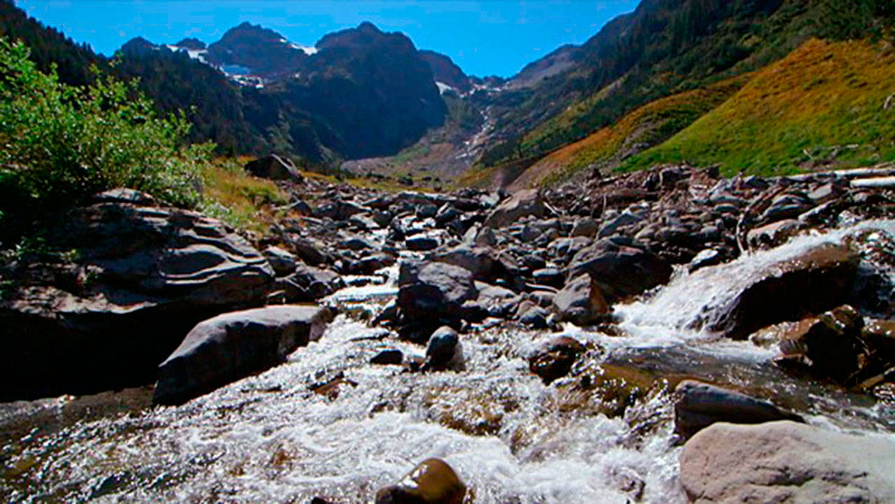 Courtesy Photo                                The Elwa River, featured in the film “The Elwa Undammed.”