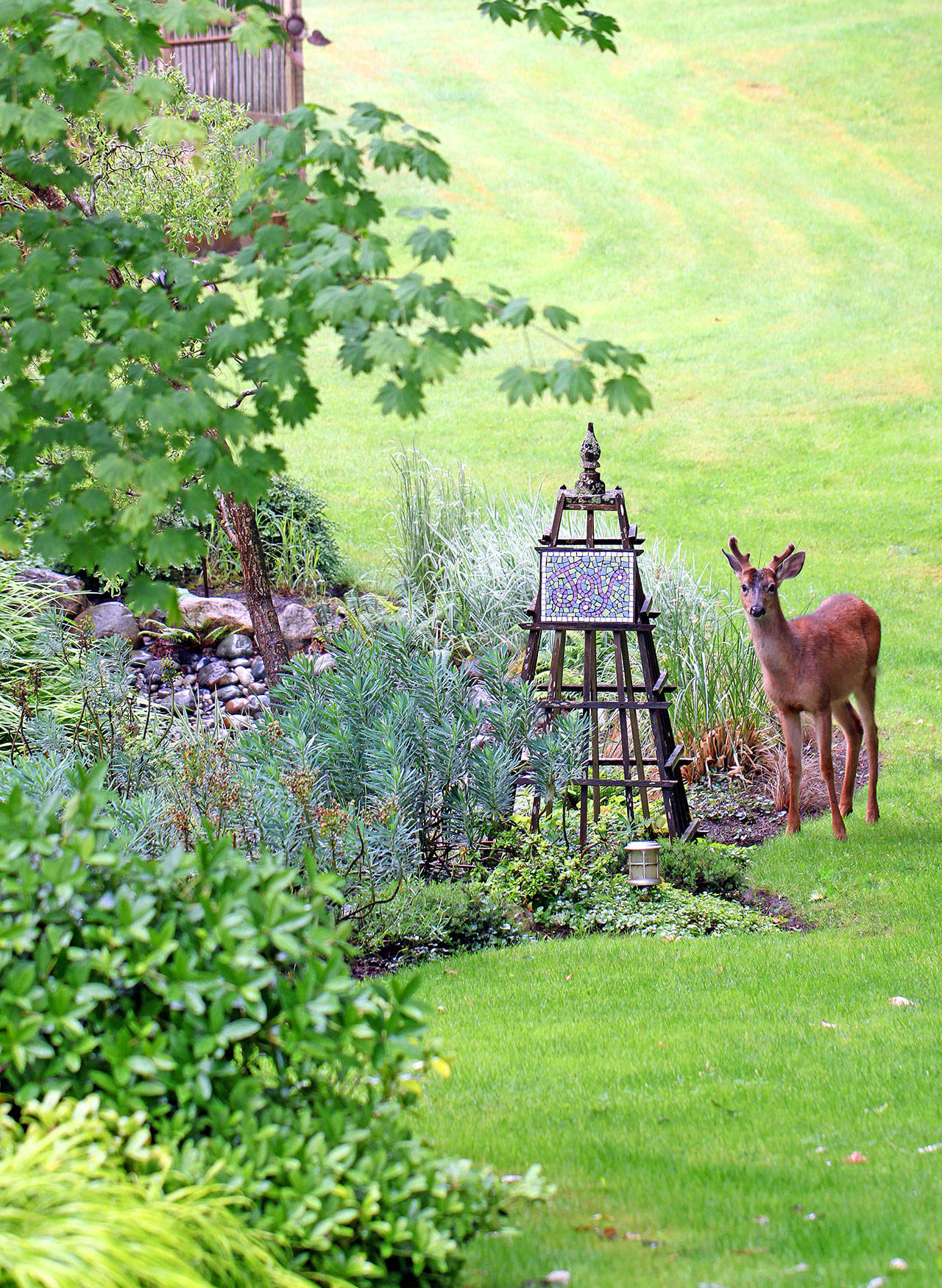 The Betz garden is in harmony with nature (Courtesy Photo)