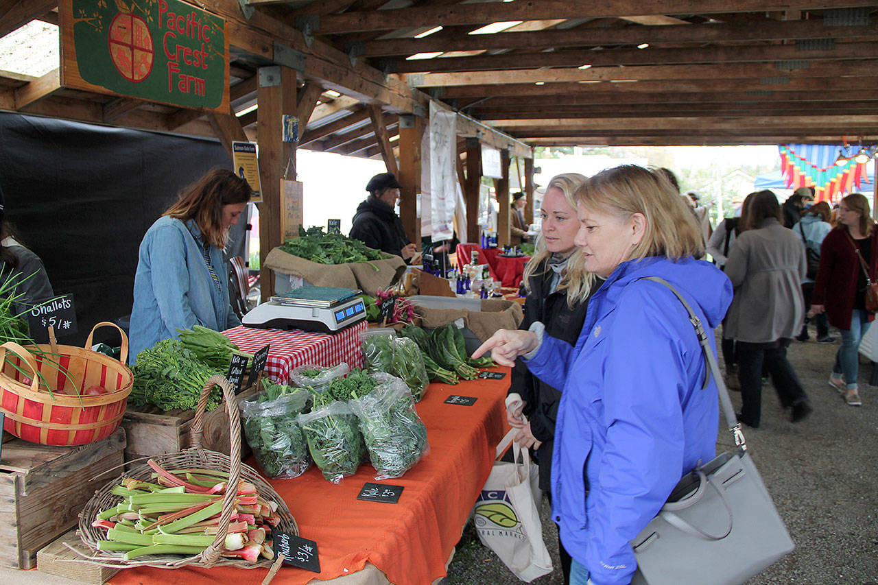 Farmers Market opens Vashon Maury Island Beachcomber