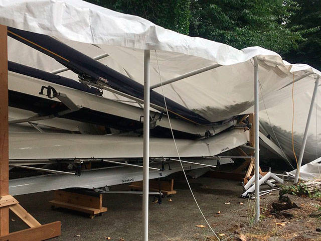 Shells belonging to the Burton Beach Rowing Club were crushed by the weight of a fallen madrona tree in July (Lisa Lorentzen photo)