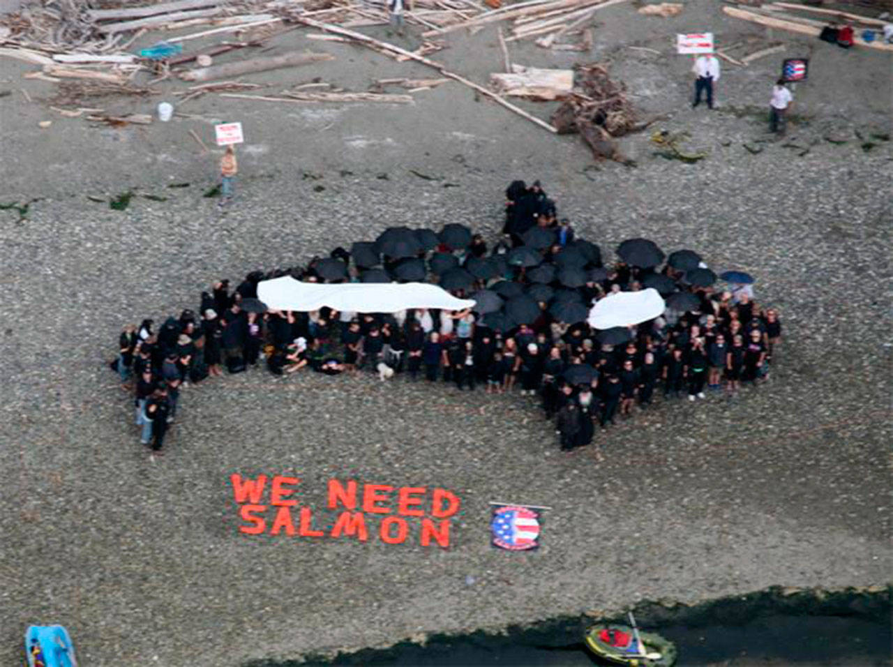 In 2009, this human orca mural was created on Vashon to celebrate the victory against the gravel mine on Maury Island. (Courtesy Photo)