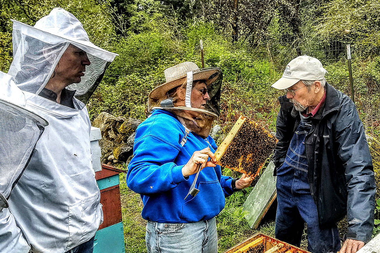 Island beekeepers come together in hopes of success