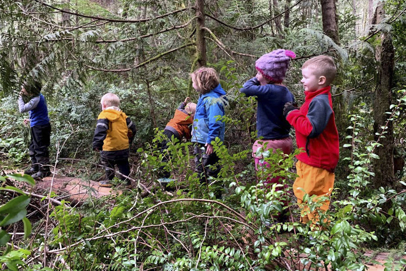 Children at Huckleberry Kids spend their days outside in the woods. (Courtesy Photo)