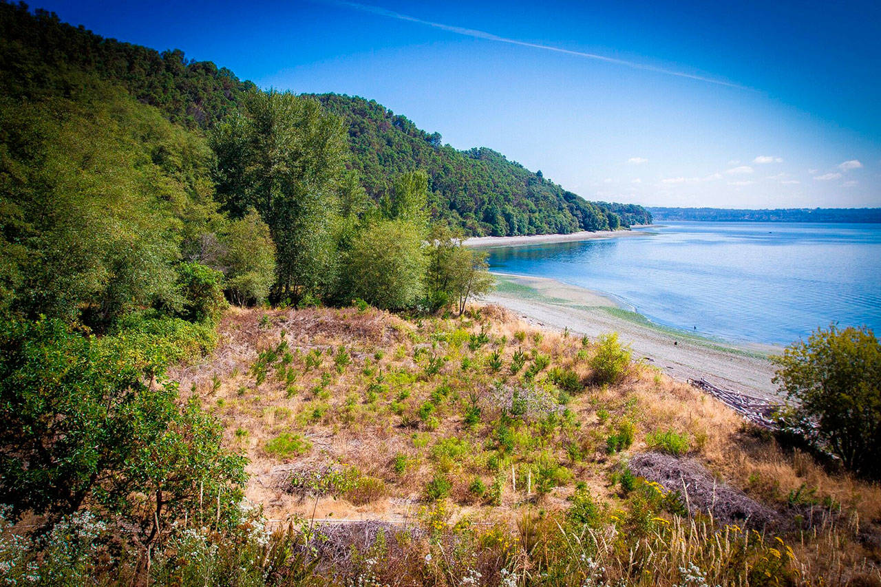 King County will begin capping trails in Maury Island Natural Area later this month (Courtesy Photo).