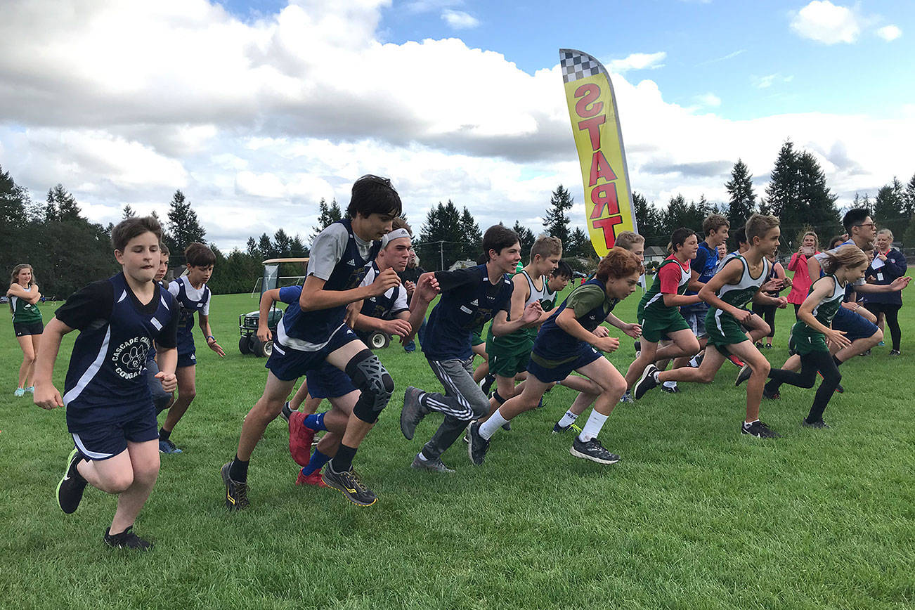 McMurray cross country teams place second