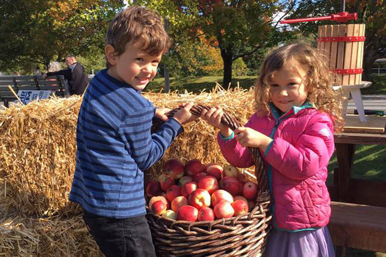 CiderFest includes record number of apples this year