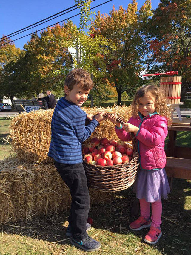 CiderFest makes the most of the island’s apple harvest, with activities for islanders of all ages (Courtesy Photo).