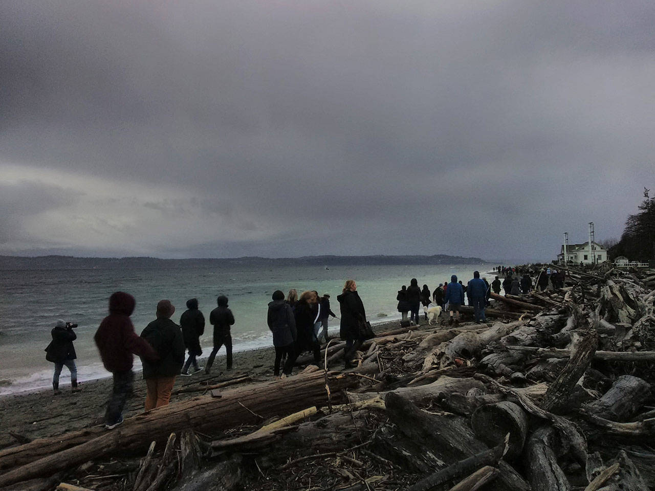 Islanders watch for passing orcas from the shore of Point Robinson, a Vashon Park District property, earlier this year (Paul Rowley/Staff Photo).