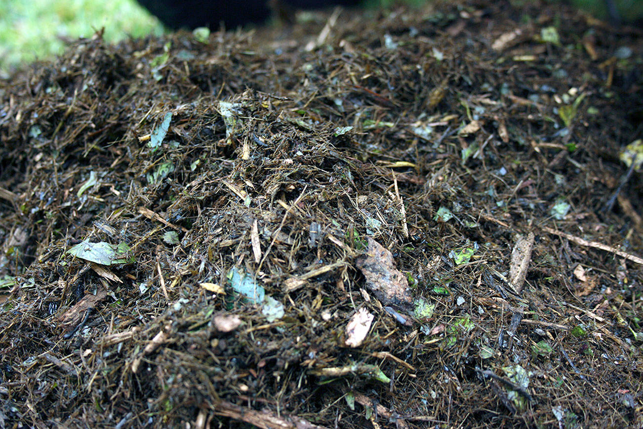 King County wants to boost composting market
