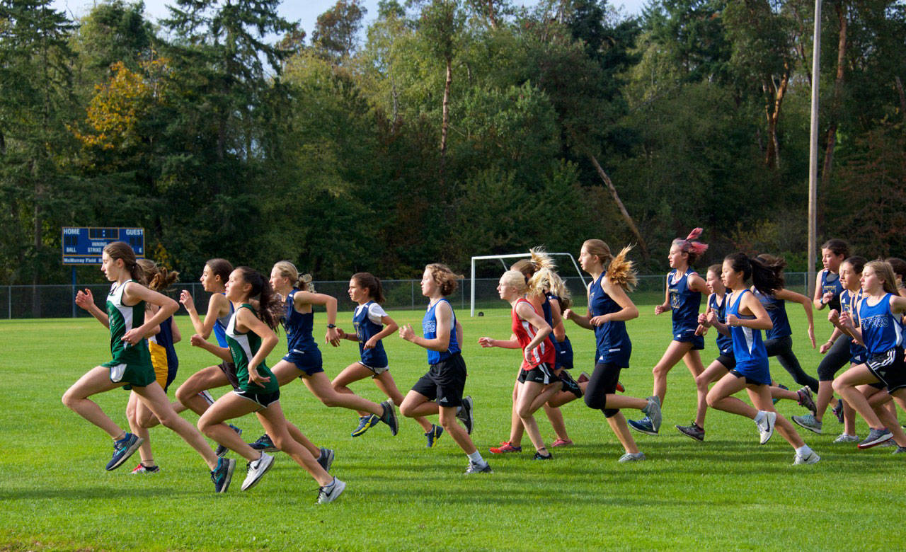 The McMurray Middle School Mustangs start the home meet on Oct. 8 (David Waterworth Photo).