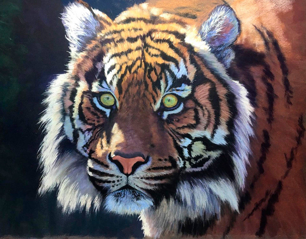 Debra Cepeda’s pastel portrait of a tiger will be on view at Vashon Center for the Arts (Courtesy Photo).