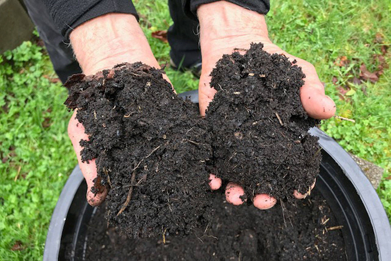 Local compost group to screen soil film
