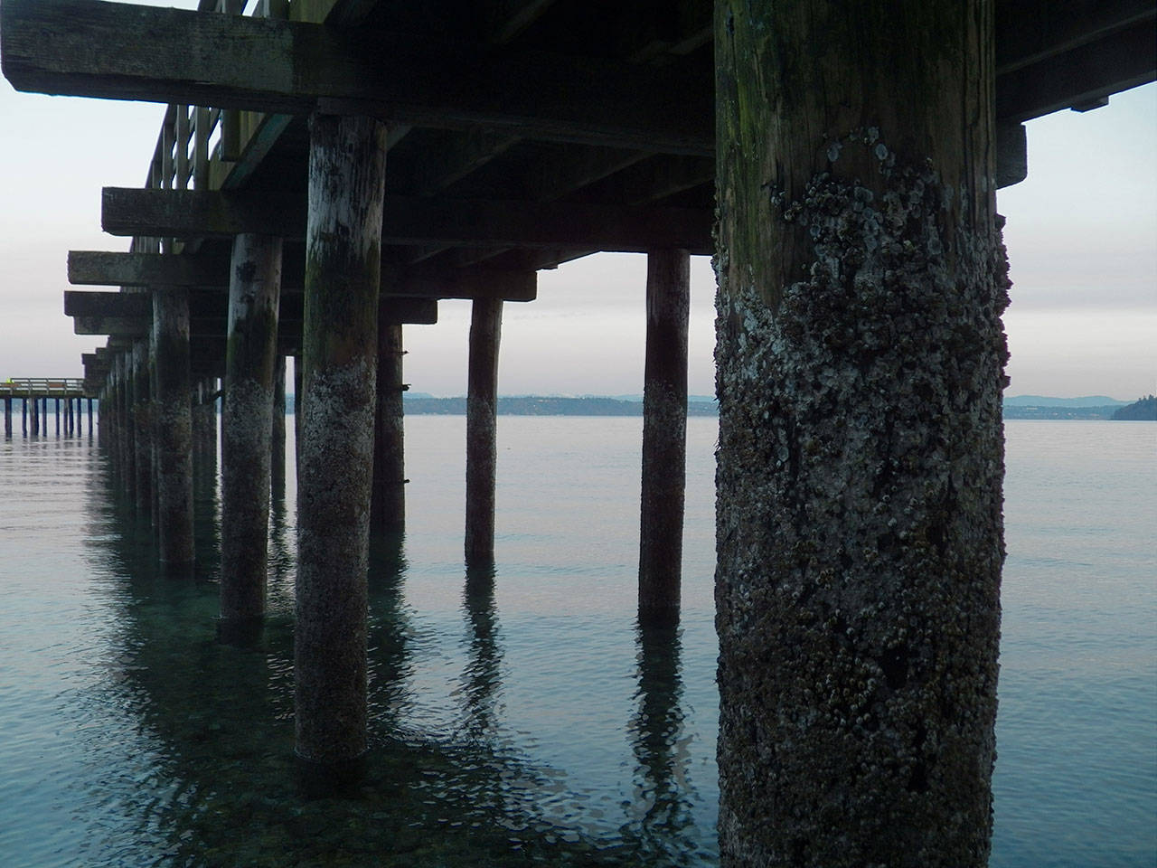 Islanders consider next steps for Tramp Harbor dock | Vashon-Maury