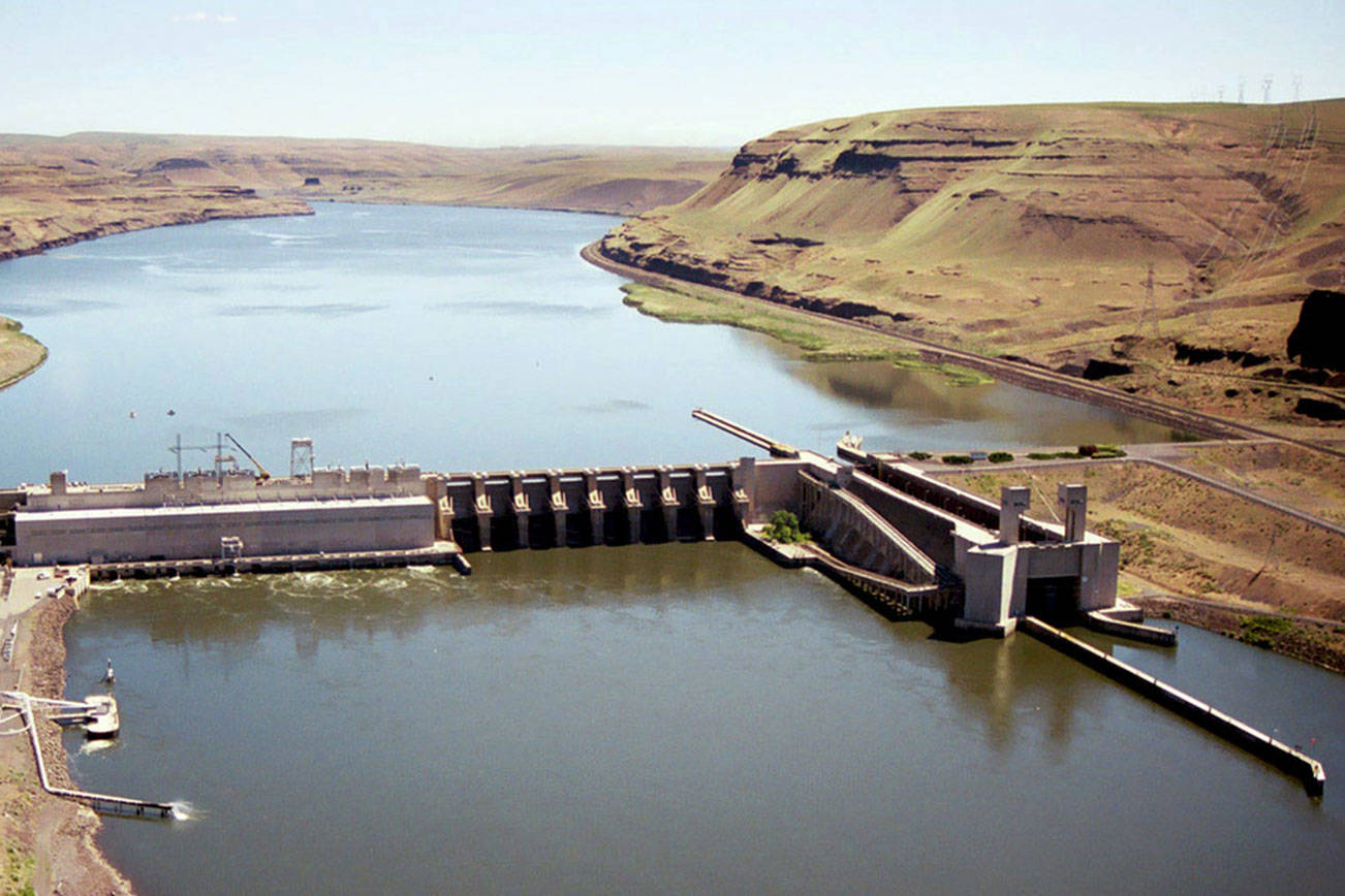 Report weighs future of Snake River dams